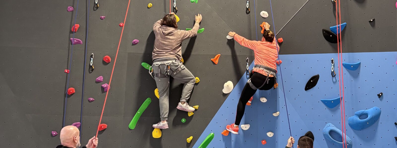 Des murs d'escalade dans les gymnases