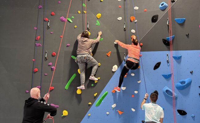 Des murs d'escalade dans les gymnases