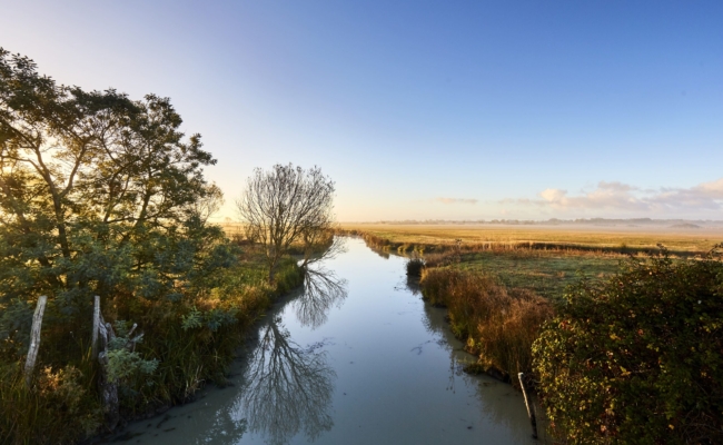 Le Marais poitevin, demain