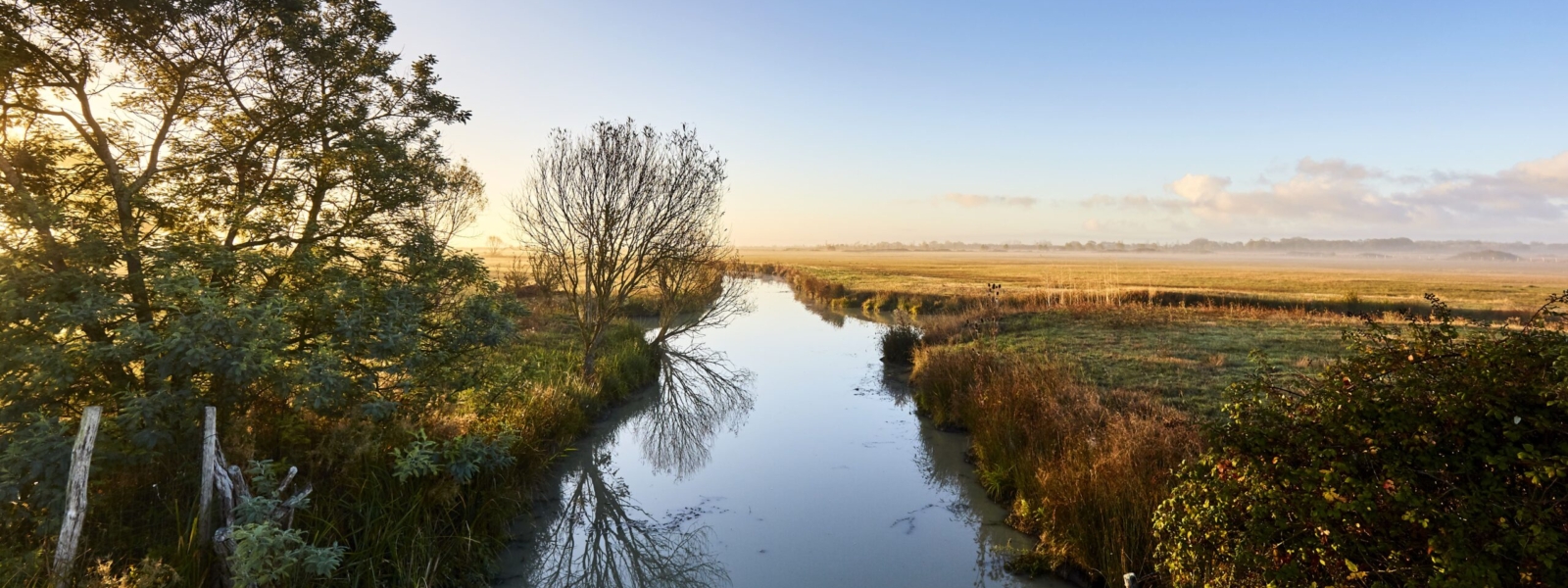 Le Marais poitevin, demain