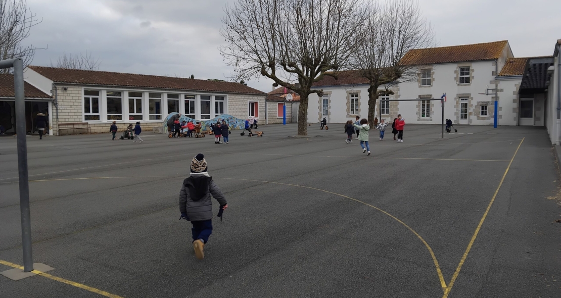 Végétaliser les cours des écoles pour lutter contre les îlots de chaleur