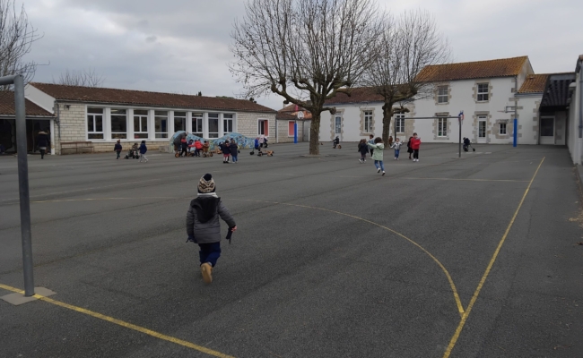 Végétaliser les cours des écoles pour lutter contre les îlots de chaleur