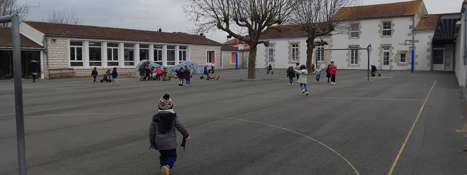 Végétaliser les cours des écoles pour lutter contre les îlots de chaleur