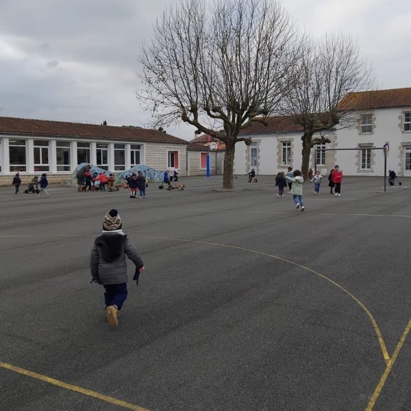 Végétaliser les cours des écoles pour lutter contre les îlots de chaleur